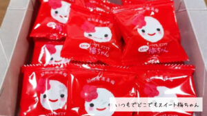 可愛くてスイートなおやつ梅 中田食品「いつもでどこでもスイート梅ちゃん」