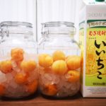 完熟「ひがしね梅」×むぎ焼酎「いいちこ」を使って梅酒作り【2.5リットル瓶】