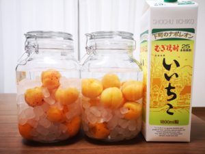 完熟「ひがしね梅」×むぎ焼酎「いいちこ」を使って梅酒作り【2.5リットル瓶】