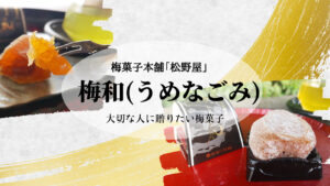 大切な人に贈りたいお菓子　梅菓子本舗　松野屋【梅和（うめなごみ）】