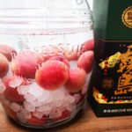 新品種「露茜」×本格焼酎「黒霧島」で梅酒作り