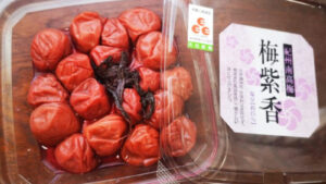 【宮崎県初の梅干専門店/梅日和たいまつ】昔ながらのすっぱい梅干し　梅紫香(うめしこう)
