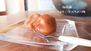 梅干しソムリエ一押し!スイーツみたいな梅干し 梅翁園「スイートはちみつ梅」の感想・口コミ