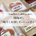 大相撲幕内力士贈答品の梅干し 福梅ぼしの「梅干しお試しセット」レビュー