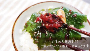 【大葉の大量消費】梅干しと大葉でご飯がどんどん進む!やみつき大葉