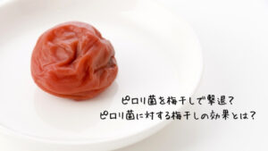 ピロリ菌を梅干しで撃退?ピロリ菌に対する梅干しの効果とは?