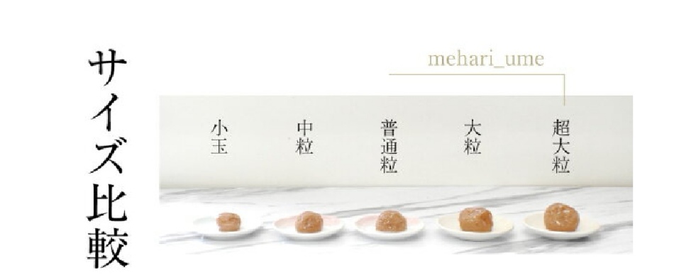 福梅本舗 めはりうめ