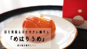 超大粒なのに高級な味にも満足♪目を見張るほど大きい梅干し 福梅本舗「mehari_ume」
