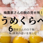 梅農家さんの腕の見せ所!「梅」本来の味、違いを楽しむ「うめくらべ」 白干梅6種類の紹介