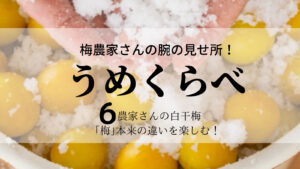 梅農家さんの腕の見せ所！「梅」本来の味、違いを楽しむ「うめくらべ」　白干梅6種類の紹介