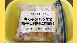 初心者でも簡単！ジップロック(キッチンバッグ)で梅干し作りに挑戦