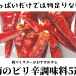 酸っぱいだけでは物足りない!梅マイスターがおすすめする梅のピリ辛調味料5選