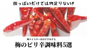 酸っぱいだけでは物足りない！梅マイスターがおすすめする梅のピリ辛調味料5選
