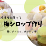 【発酵予防】冷凍梅で梅シロップ作り