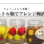 【梅しごと】1リットル瓶でアレンジ梅酒 ひと手間くわえて違いを楽しむ!!