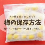 【梅の保存方法/冷凍梅】旬の梅を長く楽しめる!梅シロップや梅ジャム作りも簡単に