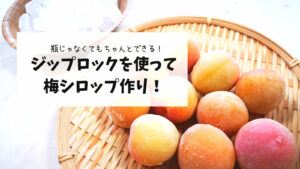 【瓶がなくてもちゃんと作れる】ジップロックで梅シロップ作り！