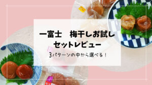 【一富士】3種類の中から好みのセットを選べる！梅干しお試しレポート