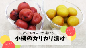 【ジップロックで漬ける】小梅のカリカリ漬け