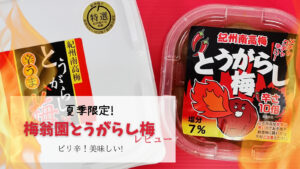 【夏季限定！8/31迄】ピリッと辛い梅翁園の唐辛子梅　食べた感想レビュー