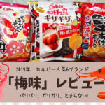 2019年 カルビー人気6ブランドから限定発売 「梅味」レビュー