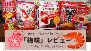 2019年 カルビー人気6ブランドから限定発売 「梅味」レビュー
