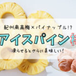 【熊平の梅】さっぱり!凍らせるとシャリっと美味しい!アイスパイン梅