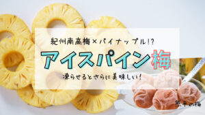 【熊平の梅】さっぱり！凍らせるとシャリっと美味しい！アイスパイン梅