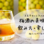 【梅酒のアレンジ方法】梅酒のおいしい飲み方・楽しみ方10選
