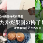 【紀州南高梅発祥の農園/たかだ果園】土つくり、梅つくり、こだわりの有機栽培