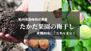 【紀州南高梅発祥の農園/たかだ果園】土つくり、梅つくり、こだわりの有機栽培