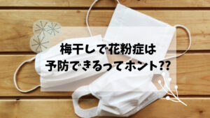 【梅干しで花粉症対策？！】梅干しで花粉症は予防できるってホント？？