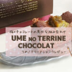 【紀州梅本舗】梅×チョコレートでプチ贅沢を UME NO TERRINE CHOCOLATレビュー