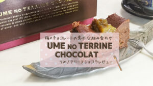 【紀州梅本舗】梅×チョコレートでプチ贅沢を UME NO TERRINE CHOCOLATレビュー