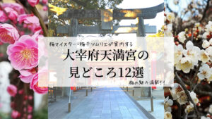 【大宰府天満宮の魅力・見どころ12選】6000本の梅の花・梅が枝餅・梅干し・学問の神様/藤原道真公