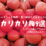 【おすすめカリカリ梅9選】コンビニで購入できるものから本格的なものまで!