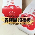 【落ちない縁起の良い梅干し】大分県／森梅園・農園のお守り招福梅
