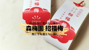 【落ちない縁起の良い梅干し】大分県／森梅園・農園のお守り招福梅