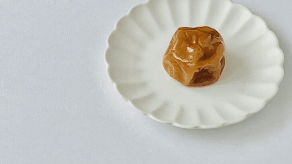 【おすすめはちみつ梅干し】梅干しソムリエおすすめ５選