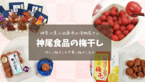 【神奈川県小田原市/神尾食品】お取り寄せ梅干しレビュー