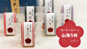 【岩谷・山海うめ】海の恵みを包んだ梅干し、食べた感想レビュー