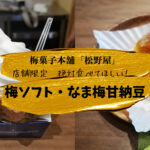 【梅菓子本舗・松野屋】絶対食べてほしい!店舗限定 梅ソフト・なま梅甘納豆