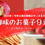 【2023年期間限定/梅味のお菓子】今年も続々新発売!食べた感想レビュー!!