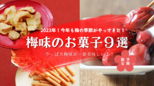 【2023年期間限定/梅味のお菓子】今年も続々新発売!食べた感想レビュー!!