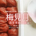 【和歌山県みなべ町の梅干屋さん・梅見月】ご飯が進む!おすすめの梅干し・梅商品6選