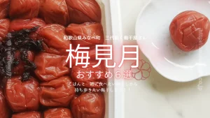 【和歌山県みなべ町の梅干屋さん・梅見月】ご飯が進む！おすすめの梅干し・梅商品６選