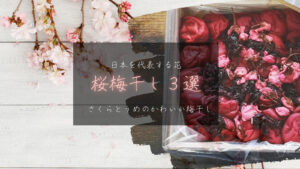 【日本を代表する花/桜×梅】春に味わいたい桜梅干し３選