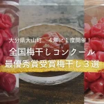 【大分県大山町梅干しコンクール】梅干しソムリエおすすめ！最優秀賞受賞梅干し３選