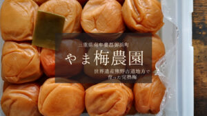 世界遺産熊野古道地方で育った完熟梅【やま梅農園】さんの梅干し