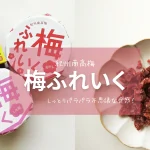 しっとりパラパラ不思議な食感!【紀州南高梅の梅フレイク】